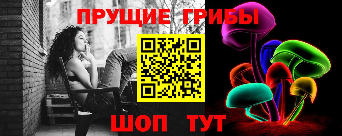 где купить   Вход с VPN  Усть-Джегута  Галлюциногенные грибы прущие грибы 